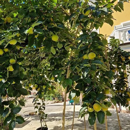 Apartment Ballerina Portoroz