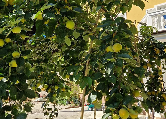 アパート Ballerina ポルトローシュ